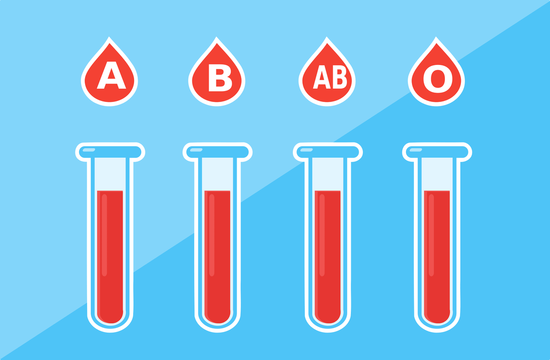 Existují 4 krevní skupiny – A, B, AB, O